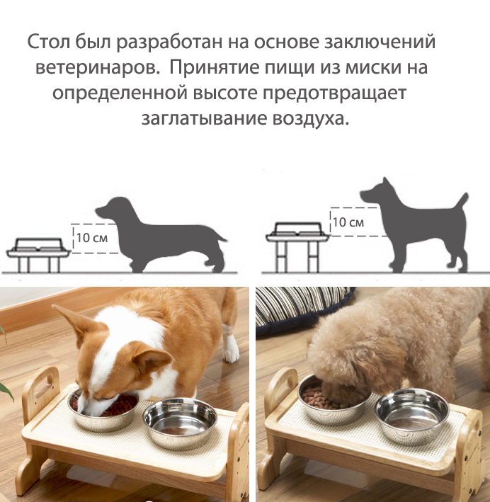 Прозрачные подставки под миски для котов и собак