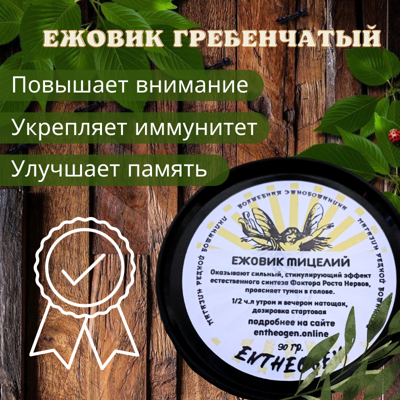 Ежовик Гребенчатый, мицелий (Lion’s Mane, mycelium)