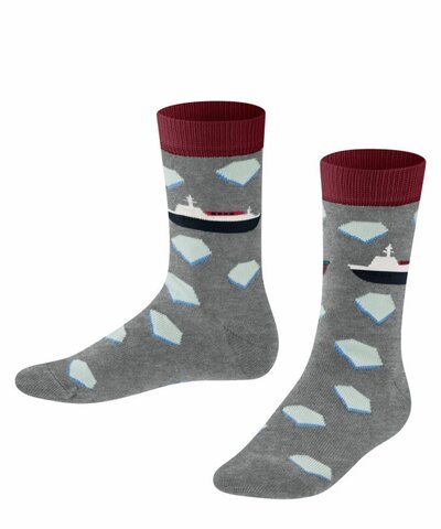 Носки Explorer Boat FALKE 10446/3390