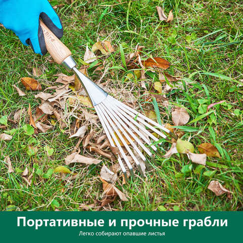Грабли для кустарников малые ручные Berry&Bird