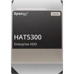 Synology HAT5310-20T Жесткий диск HDD SATA 3,5