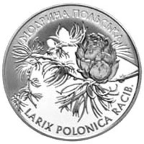 2 гривны "Лиственница польская" (Модрина польська) 2001 год