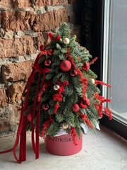 Елка из нобилиса