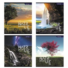 
          Тетрадь 36 л., А5, клетка, Alingar "Nature power", скрепка, второй блок 60г/м2, мелованный картон (стандарт), 4 дизайна в пленке т/у