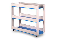 Стеллаж для спортинвентаря "СПОРТИВНЫЙ"