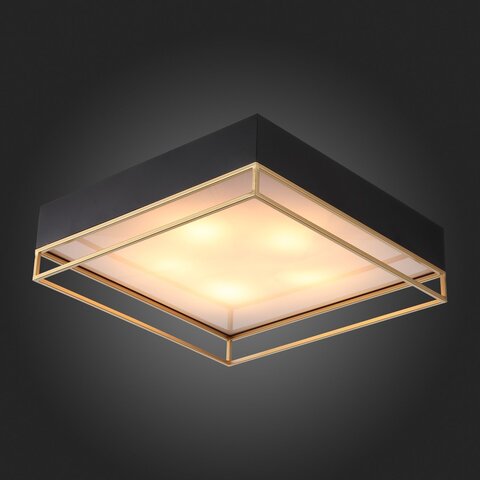 Светильник потолочный ST Luce Chodo SL1127.422.05