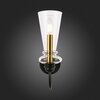 Светильник настенный Evoluce Rammo SLE112401-01