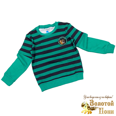 Джемпер хлопок м (6-9) 240915-YK8862
