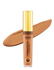 Parfaite Fix Concealer Консилер 5.8g