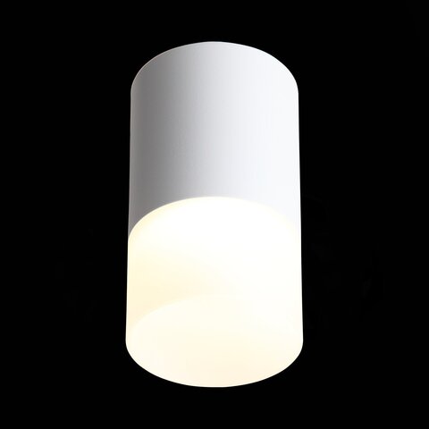 Светильник потолочный ST Luce Ottu ST100.542.05