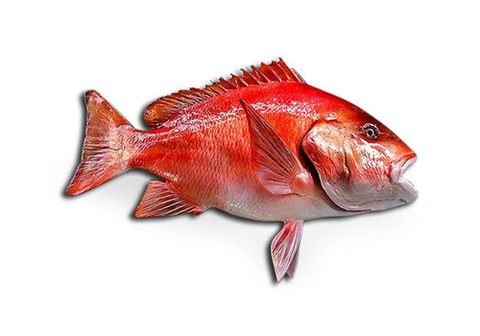 Красный Луциан охлажденный~1.5кг