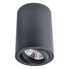 Светильник потолочный Arte Lamp Sentry A1560PL-1BK