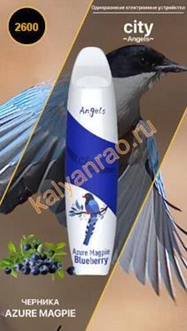 City Angels Azure Magpie Черника 2600 затяжек