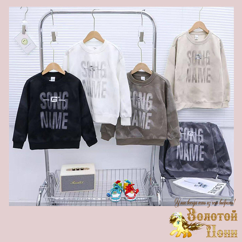 Свитшот хлопок м (7-12) 250824-G6143