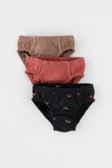 трусы/ уп  для мальчика  К 1966-3уп/холодный какао,пыльный кедр,мотоциклы