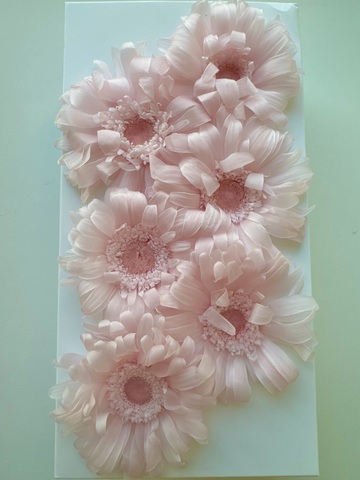 Гербера 5-7см Нежно-розовый (6шт полная коробка)