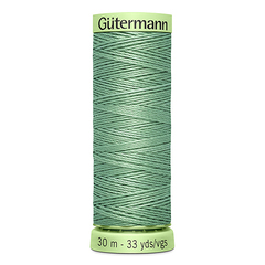 Нить Top Stitch 30/30 м для декоративной отстрочки, Gutermann, 913 бледный папоротник