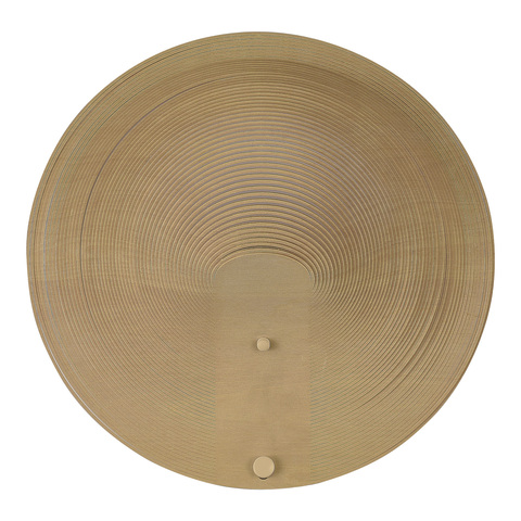 Светильник настенный ST Luce Fossil SL6900.501.16