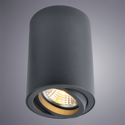 Светильник потолочный Arte Lamp Sentry A1560PL-1BK