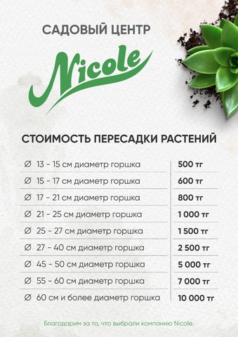 Мы предлагаем услуги по пересадки растений. Пересадка зависит от диаметра горшка