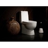 Sanita luxe Best WC.CC/BEST/2-P/WHT.G Унитаз компакт 64x34x77 см
