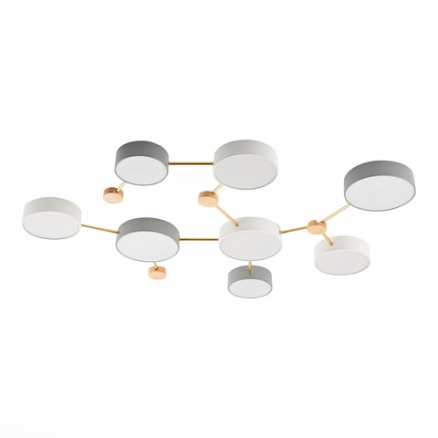 Светильник потолочный Evoluce Dossena SLE600102-08