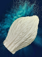 Молды 