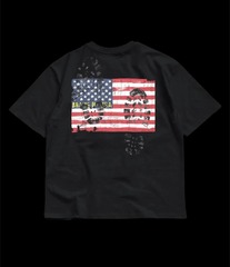 AMERICAN GLORY PRINT
