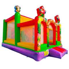 Коммерческий надувной батут «Попугаи и друзья 2» с крышей, 6x4x4 м