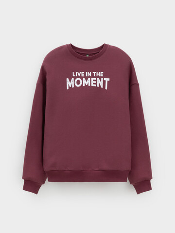 джемпер  для мальчика  КР 302802/коричневый 1614 к634