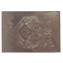 
          Обложка для паспорта, натур. кожа, коричневый, тиснение сплошное, "Волк"