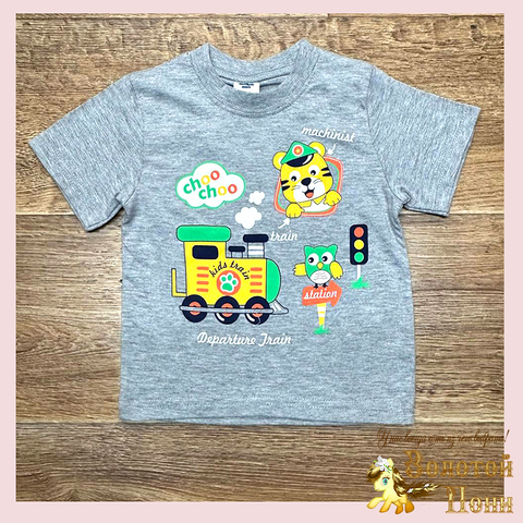 Футболка хлопок м (1-4) 260119-SL6036