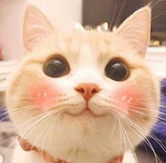 Для шареной корзины