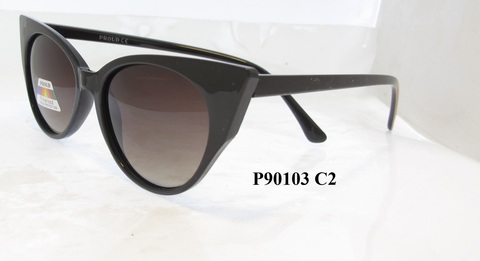 P90103