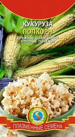 Семена Кукуруза Попкорн