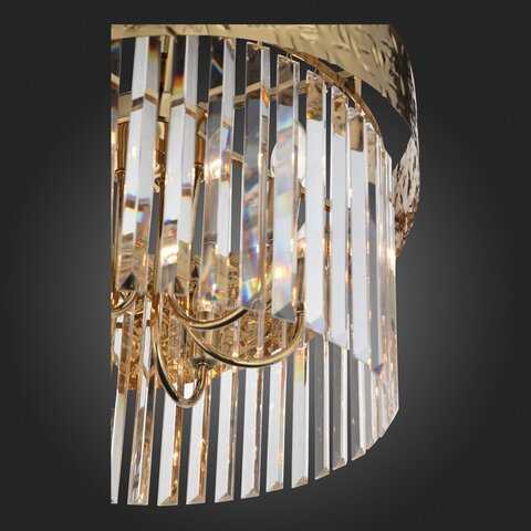 Люстра подвесная ST Luce Tefina SL1100.303.06