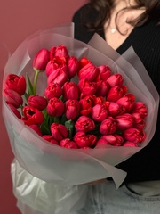 Букет бордовых гладких тюльпанов