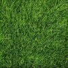 Трава искусственная "Эко Грин" 35 мм, ширина 2м, рулон 20м