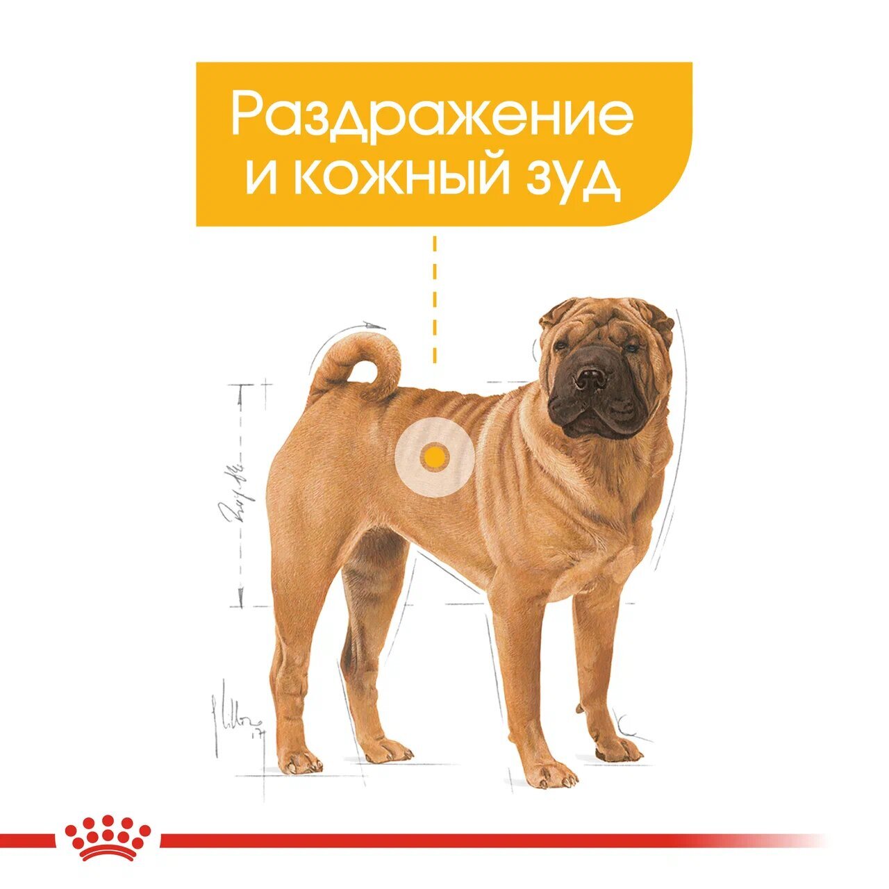 Корм для собак, Royal Canin Medium Dermacomfort, при раздражениях и зуде,  связанных с чувствительностью кожи купить с доставкой в интернет-магазине  зоогастроном.ру