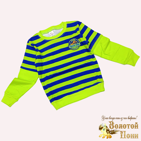 Джемпер хлопок м (6-9) 240915-YK8864