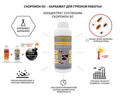 Скорпион SC