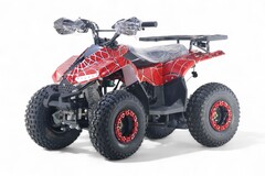 Детский бензиновый квадроцикл RiverToys LEON с электростартером