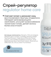 Tashe professional Набор для регуляции работы сальных желез (tsh36) 100+100мл