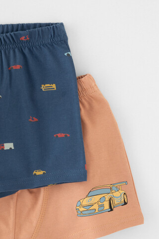 трусы/ уп  для мальчика  К 1930-2уп/пробковое дерево,гроз.туча,транспорт