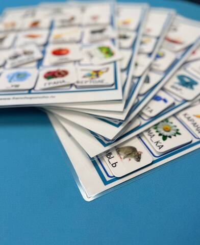 Пареые согласные. Развивающее пособие Frenchoponcho (Френчопончо)