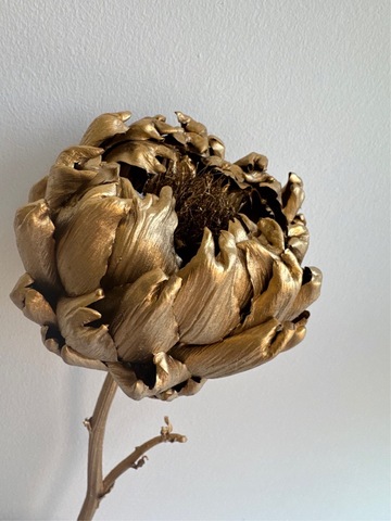 Артишок сухоцвет крупный Золото