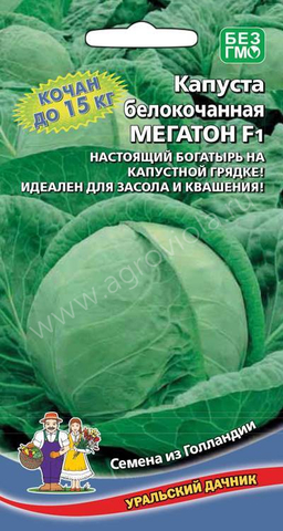 Капуста Мегатон