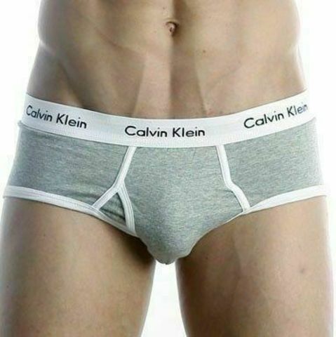 Мужские трусы брифы Calvin Klein 365 Grey White Brief CK10203