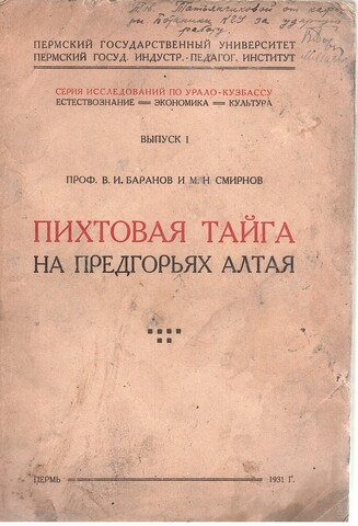 Пихтовая тайга на предгорьях Алтая