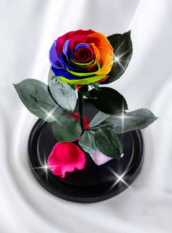 Роза в колбе Премиум XL . Разноцветная.